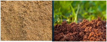 Cohesive and non-cohesive soil