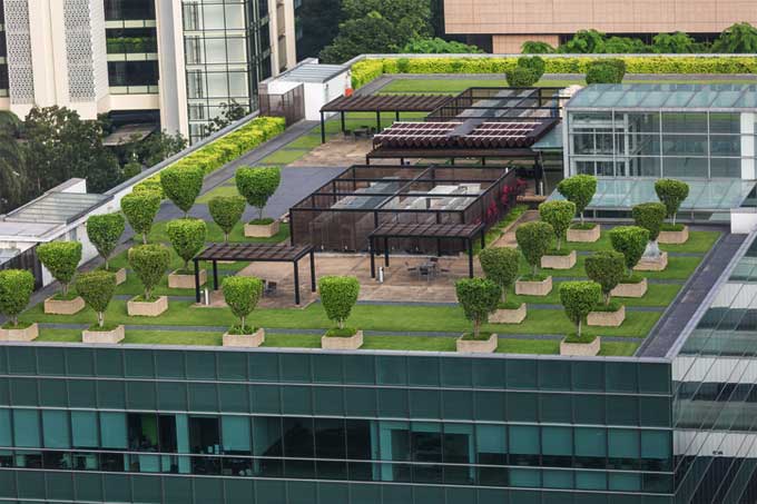 Installation & Uses of Green Roofs